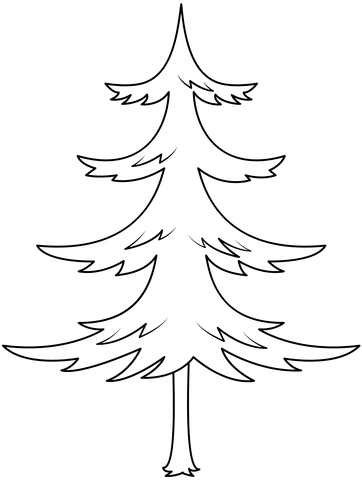 Pine Tree Coloring Page